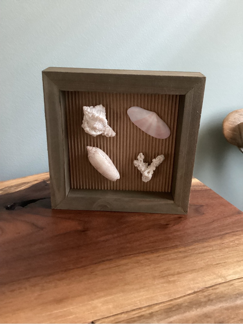 Neutral Color Shell Shadow Box Art - Home Accents